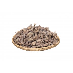 꼴뚜기 500g